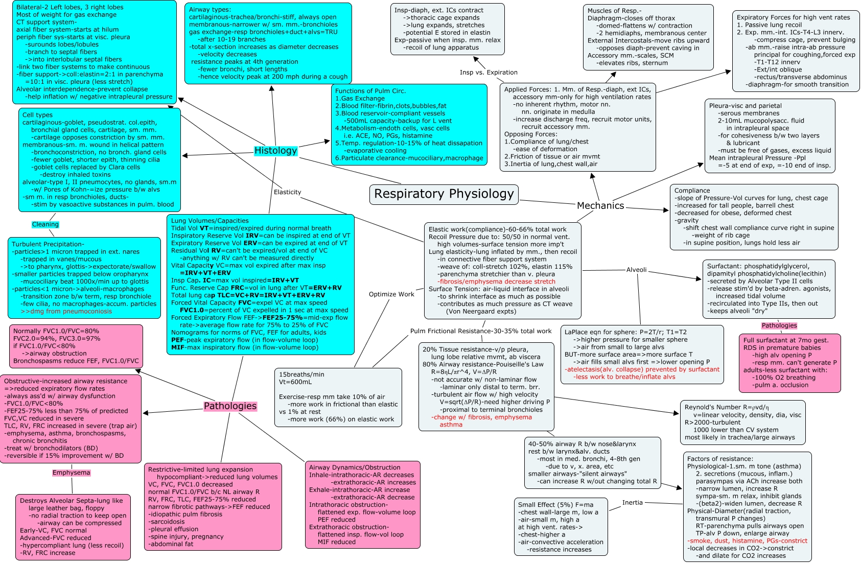 Respiratory Physiology